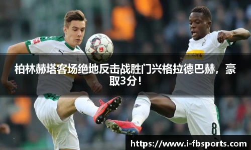 FB体育官网